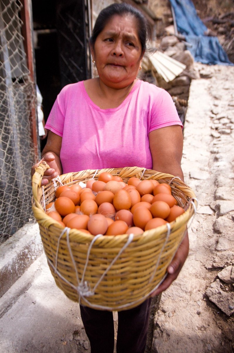 Retrato de mujeres participantes